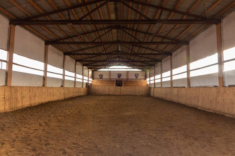 Image for Indoor vs. Outdoor Horse Arenas: Which is Best? [Pros and Cons] post